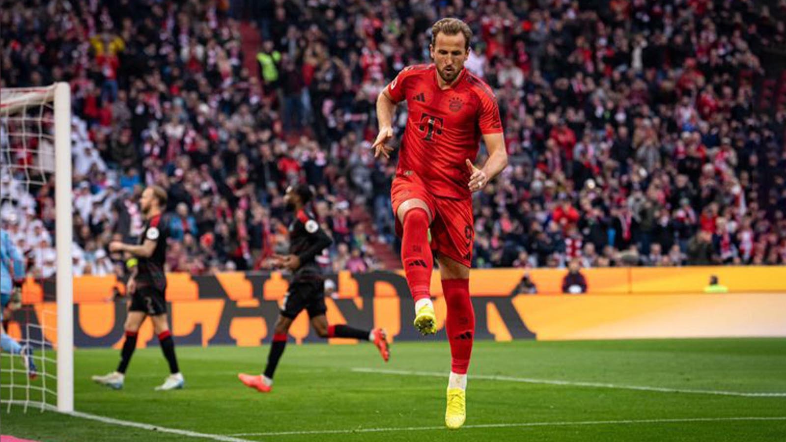 Harry Kane